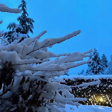 木屋 8 Etoiles 霞慕尼