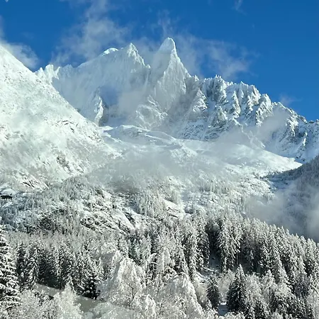 8 Etoiles בקתה *